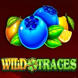 Wild Traces slot visual from Amusnet Interactive available on azur-slot.org